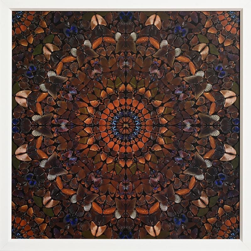 Damien Hirst | Butterfly Series | MutualArt