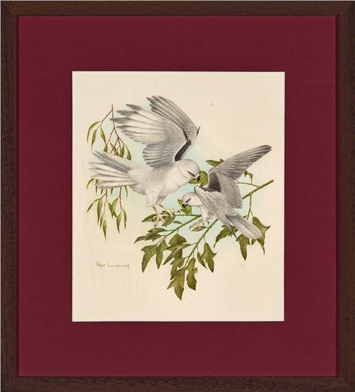Peter Longhurst | Black Shouldered Kites (1988) | MutualArt