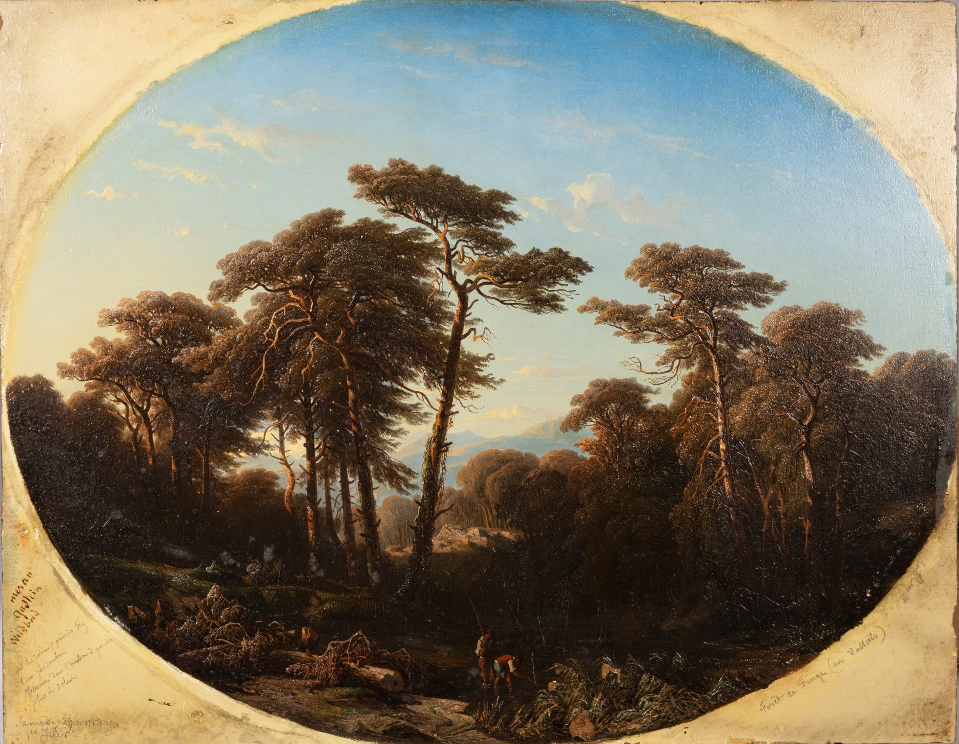 François Diday | Forêt de Finges (en Valais) | MutualArt