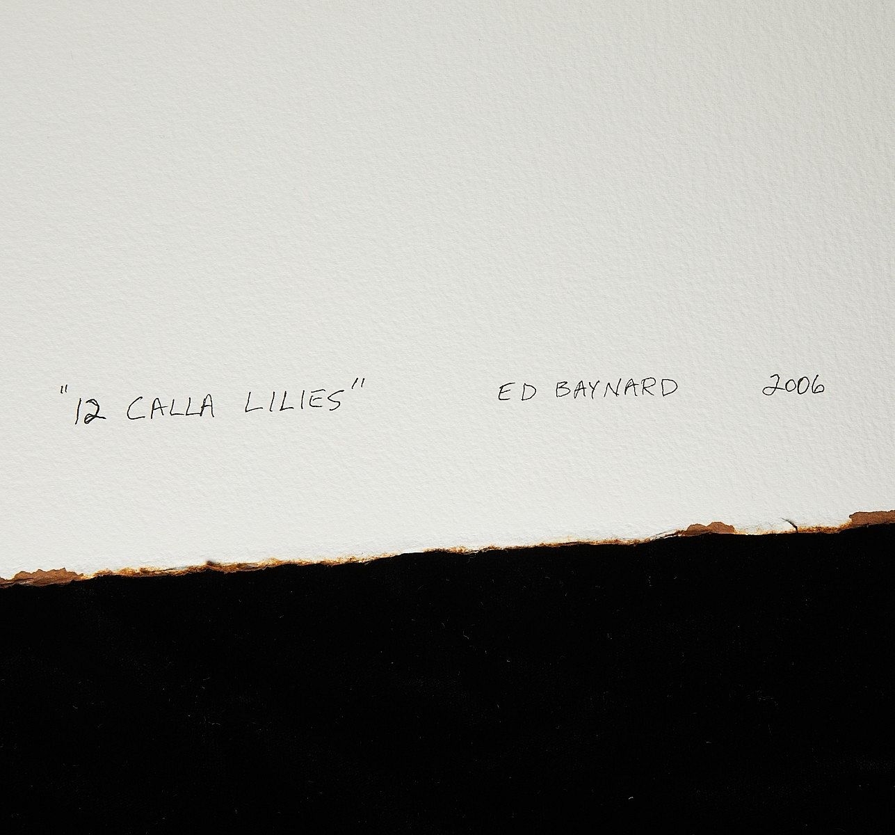 Ed Baynard | 12 Calla Lilies (2006) | MutualArt