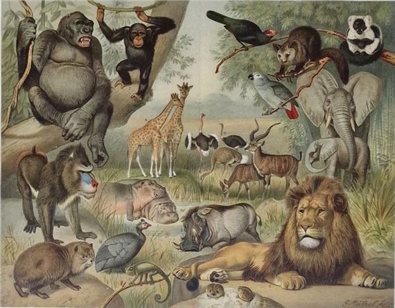 German School, 19th Century | SET OF 4 LITHOGRAPHIES in color from a ...