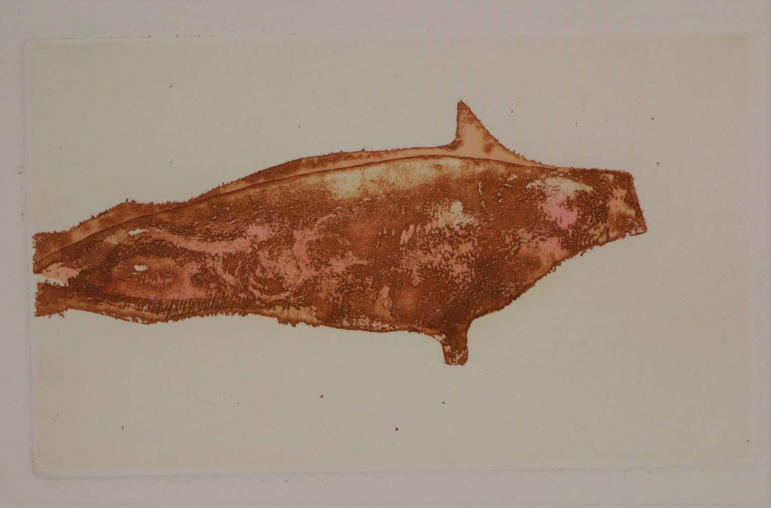 Joseph Beuys | Meerengel Robbe 2 (1982) | MutualArt