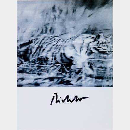 Gerhard Richter Tiger, 1965 版画 (2024) Gerhard Richter Tiger, 1965 版画 (2024) Art » Gerhard Richter
