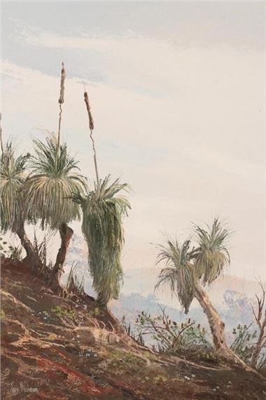 Blackboys by John Milenkovic