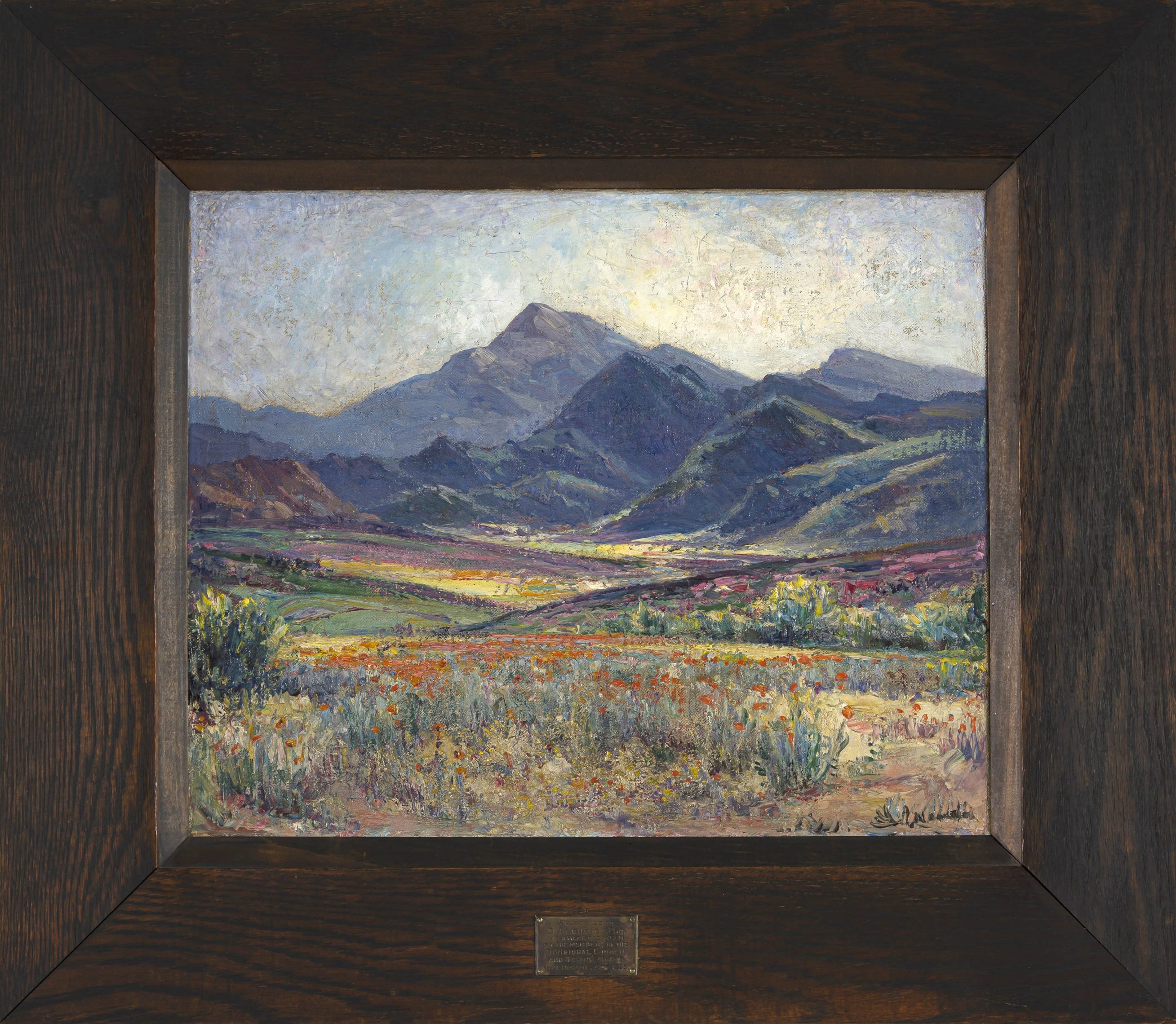 Pieter Hugo Naudé | Spring Time in Namaqualand | MutualArt