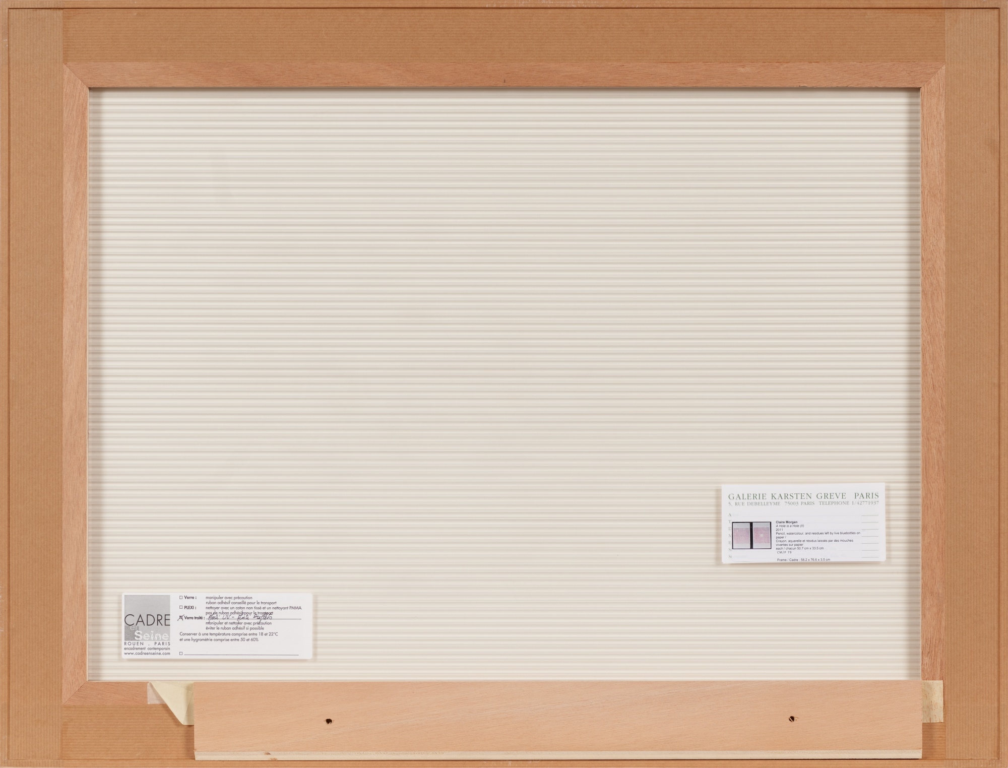 Artwork by Claire Morgan, A Hole is A Hole (II), Made of bluebottles residues, pencil and watercolour on paper