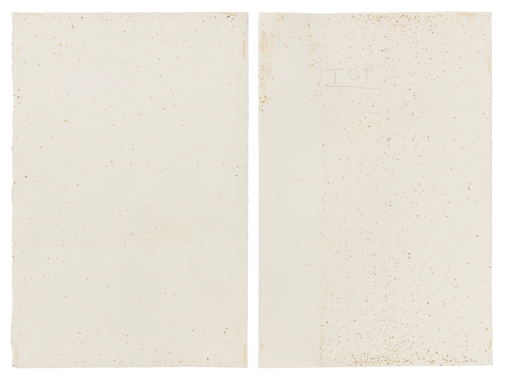 Artwork by Claire Morgan, A Hole is A Hole (II), Made of bluebottles residues, pencil and watercolour on paper