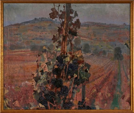 Weinrebe vor Landschaft