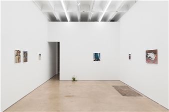 Pleasure Principle - François Ghebaly, New York