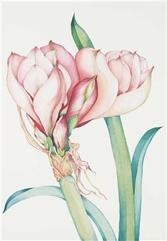 Hey, Bud - Sharlene Dee Stauffer