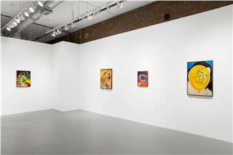 Thomas Lerooy: For Your Eyes Only - Simone Subal Gallery