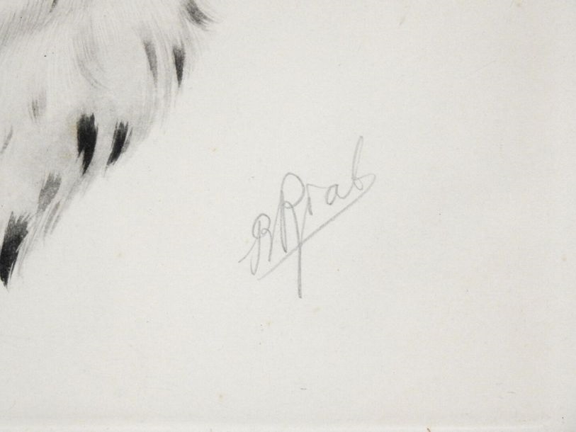 Boris Riab | Setter and pheasant | MutualArt