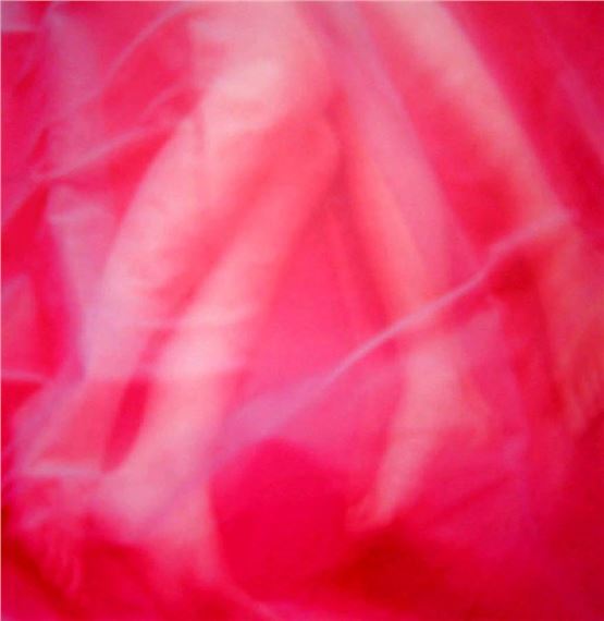 Crimson Autograph by Deborah Paauwe, 2002