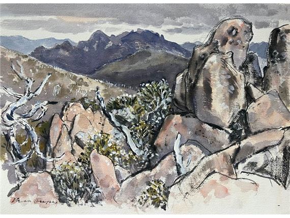 Max Angus | (Wild Flowers, Mt Wellington) | MutualArt