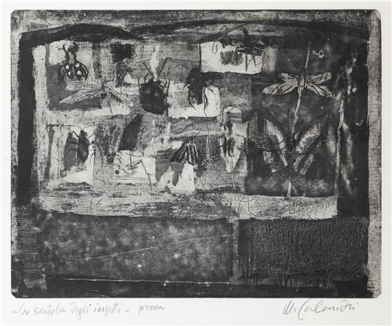Mario Calandri | La scatola degli insetti (1962) | MutualArt