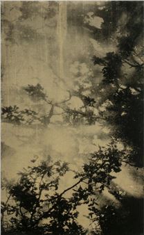 'The smoke' - Barnaby Hosking