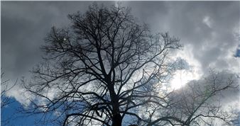 Marthe Bolda: Des prières sans réponse - KIOSK