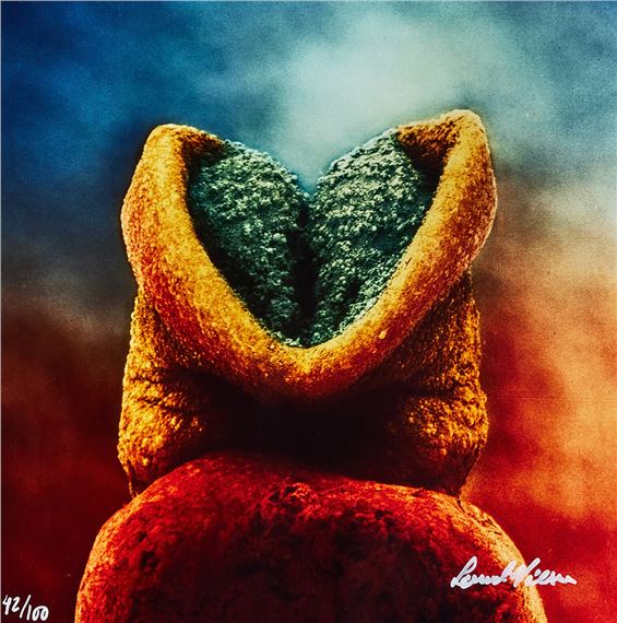 Livet by Lennart Nilsson