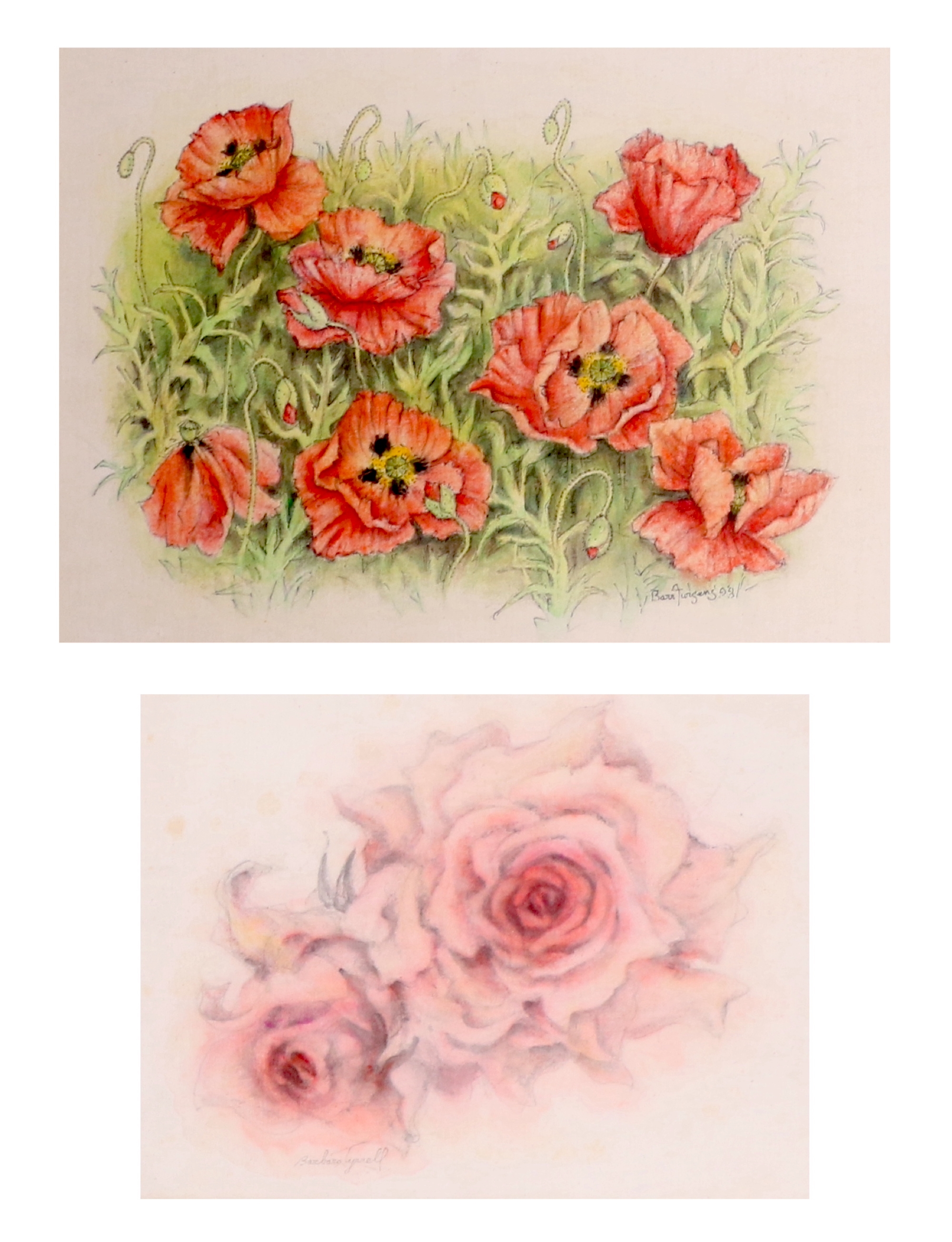 Barbara Tyrell | ROSES | MutualArt