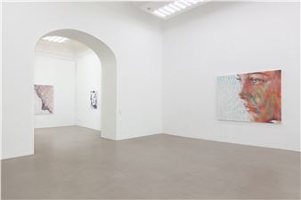 Judith Eisler: Fault Lines - Charim Dorotheergasse