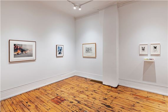 Editions Part Two - Paul Petro Contemporary Art