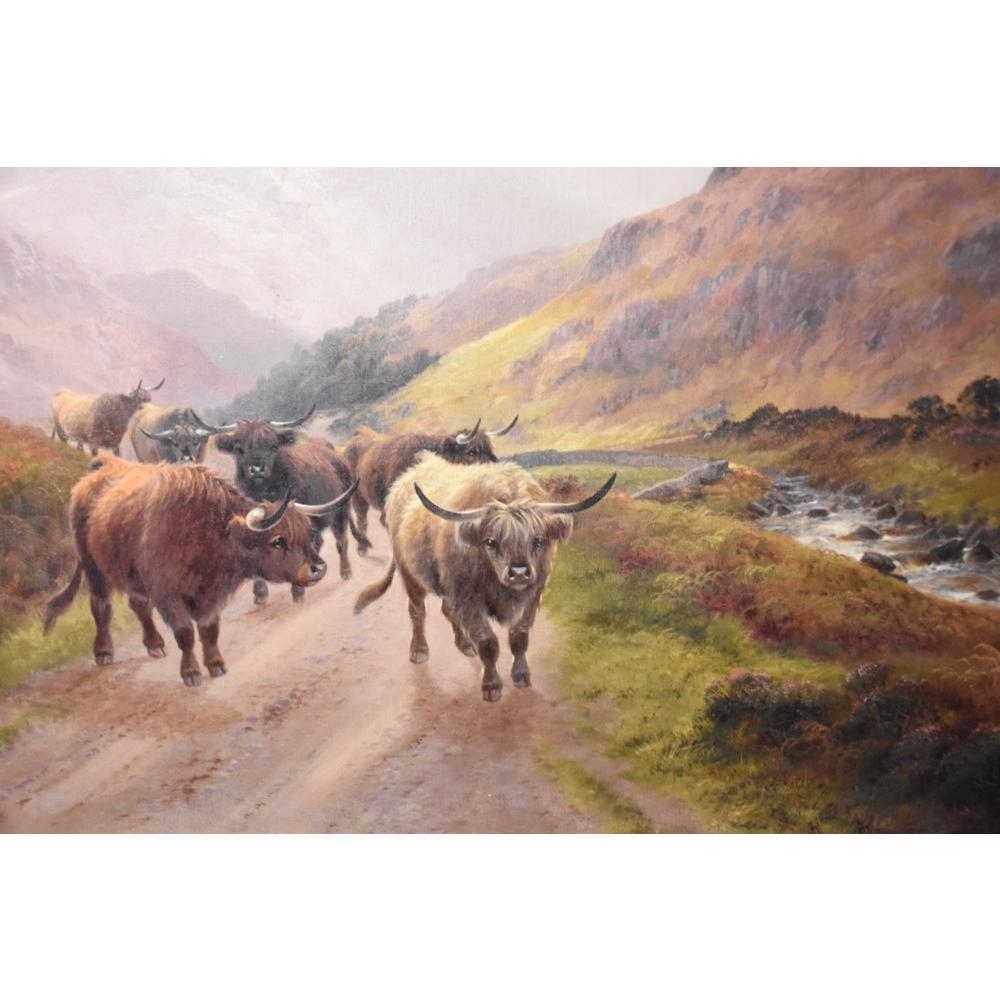 Harald R. Hall | The Highland cattle in the Scottish mountains. Pair ...