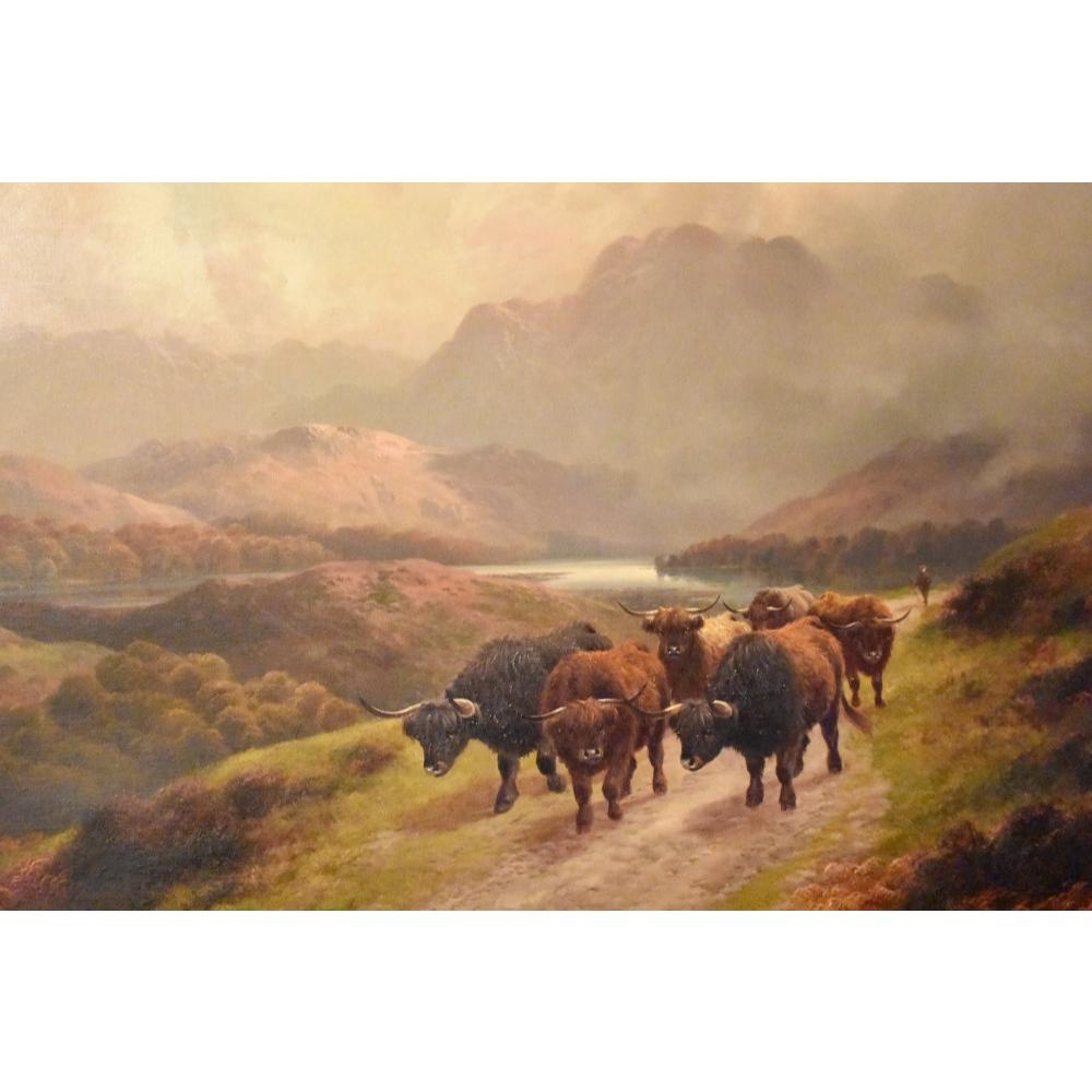 Harald R. Hall | The Highland cattle in the Scottish mountains. Pair ...