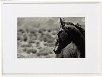 horse - Nathalie Bardyn