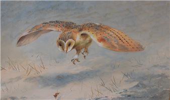 a mouse fleeing an approaching barn owl within a winder landscape - Hawley Morgan