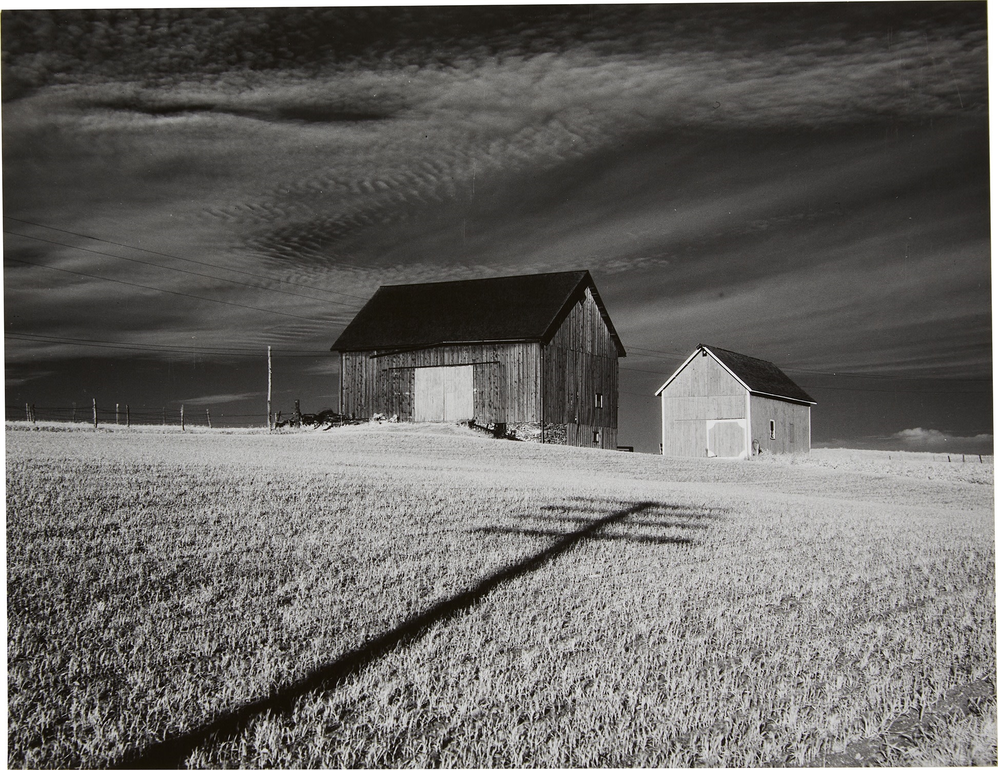 Minor White | Two Barns and Shadow (1955) | MutualArt