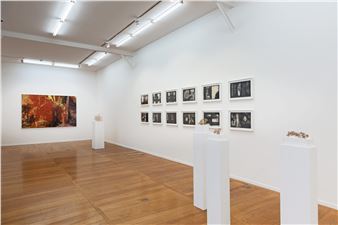 Raha Raissnia & James Siena - Galerie Xippas, Paris