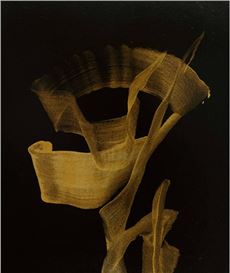 Shibunkaku presents 'Colors of the Postwar Japanese Abstract Arts'
