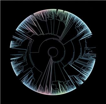 Katarina Löfström: The Bigger Picture - Södertälje Konsthall