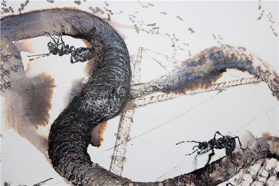 Drawing Inspiration - Glen Carlou Gallery