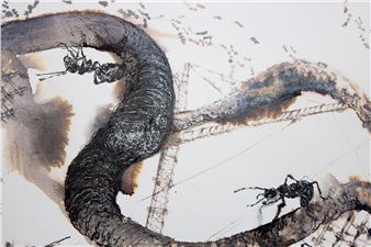 Drawing Inspiration - Glen Carlou Gallery