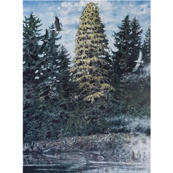 GOLDEN SPRUCE - Noel Watten