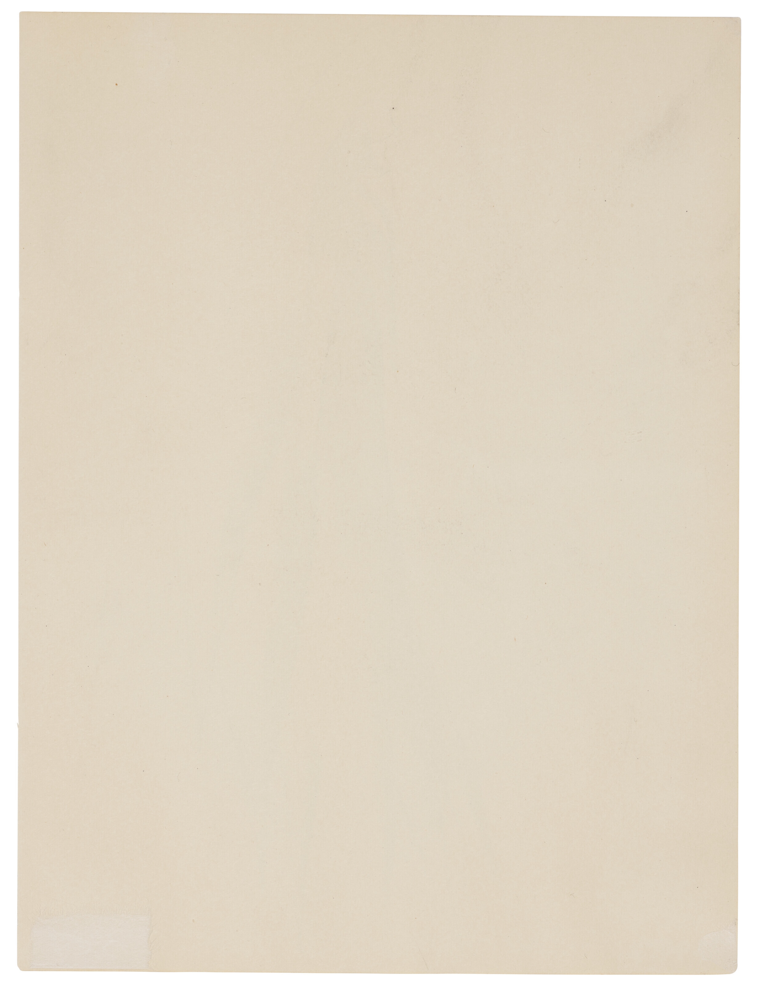 Artwork by Georgia O'Keeffe, Plant Form-Aloe, Made of pencil on paper