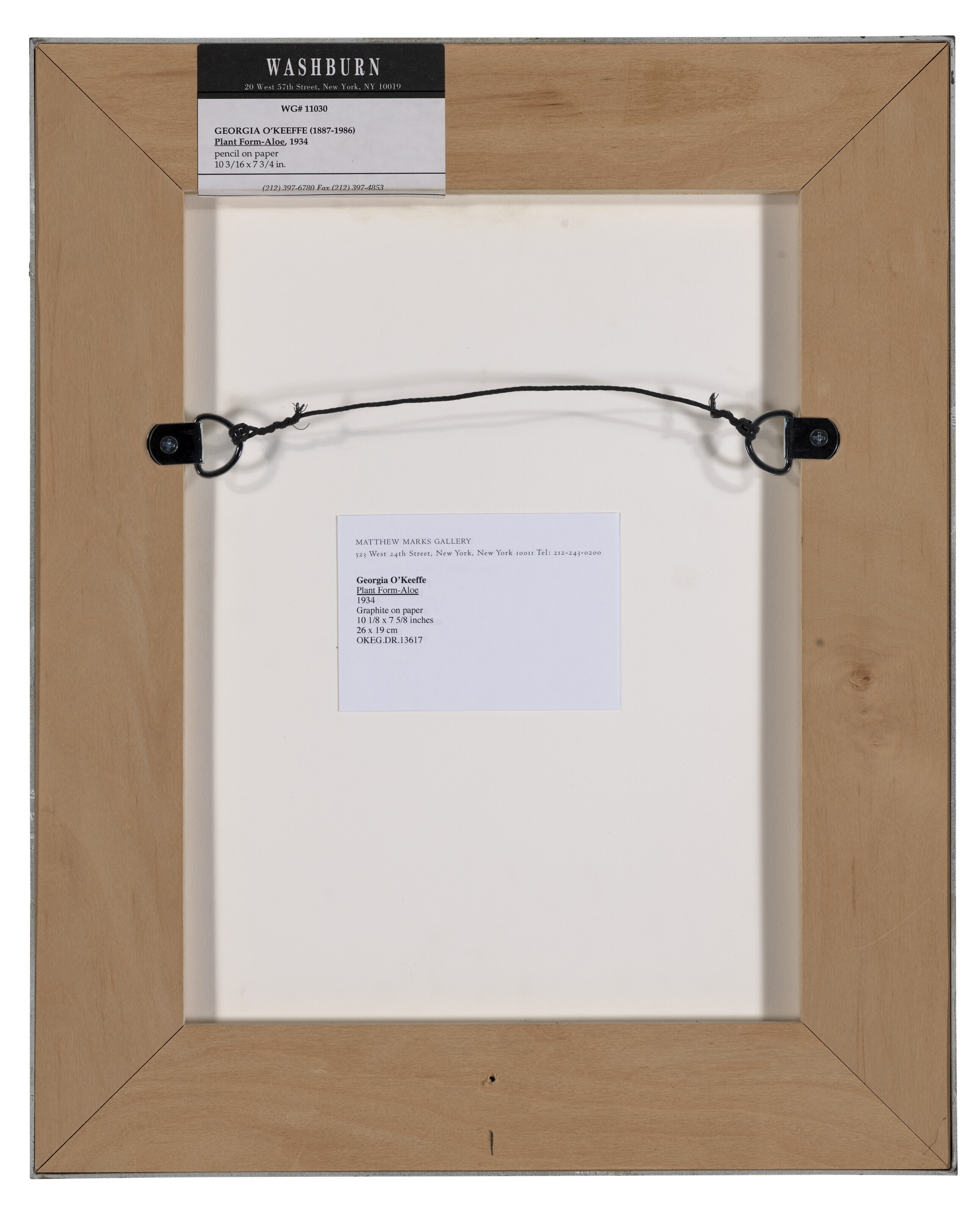 Artwork by Georgia O'Keeffe, Plant Form-Aloe, Made of pencil on paper