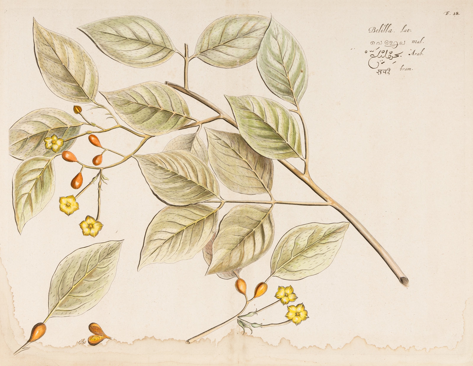 Henrik Draakestein Hendrik Adriaan van Rheede tot Drakenstein MutualArt