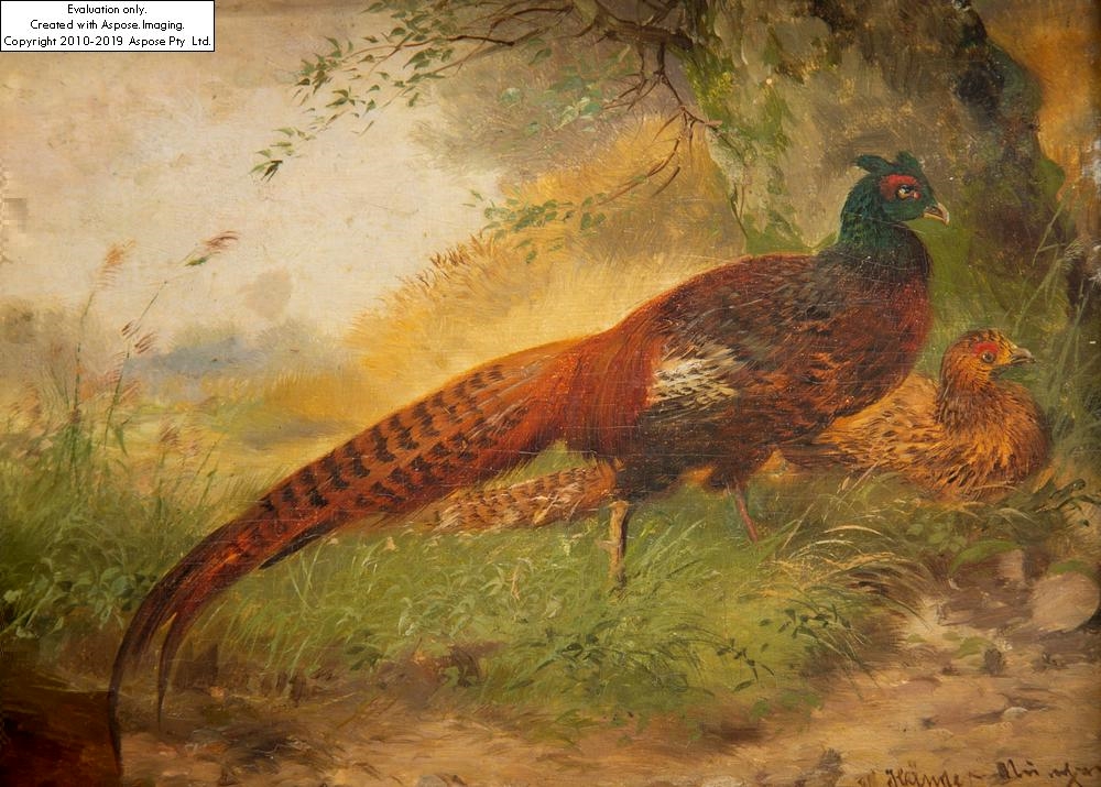 Max Hänger | Pair of pheasants | MutualArt