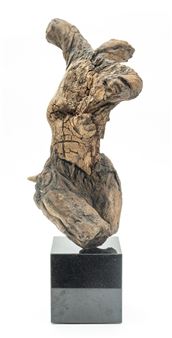 Torso Of A Dancer - Vernon Bobbitt