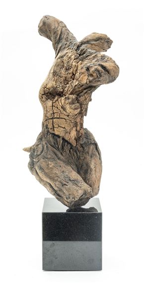 Torso Of A Dancer - Vernon Bobbitt