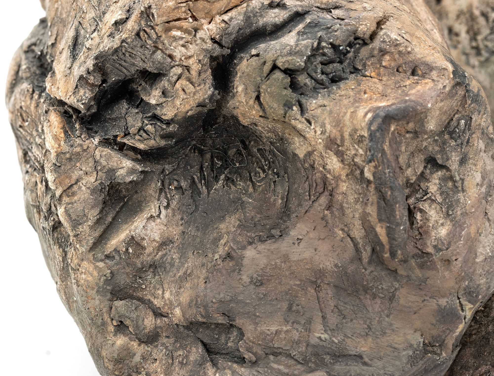 Artwork by Vernon Bobbitt, Torso Of A Dancer, Made of Driftwood