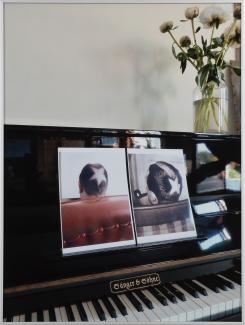 Les Marcel: Collection R.Patt - Le Botanique