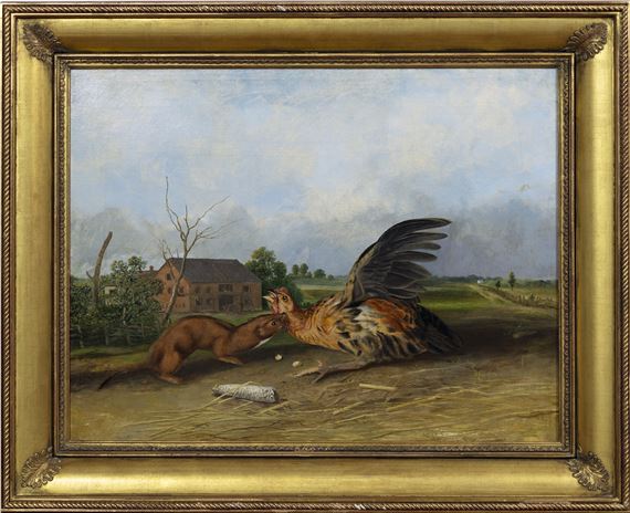 Tawny Weasel Original by John Woodhouse Audubon