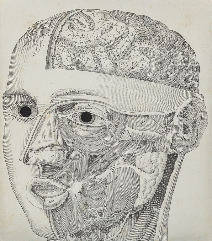 Maciunas Face anatomy mask 1973 (1973) MutualArt