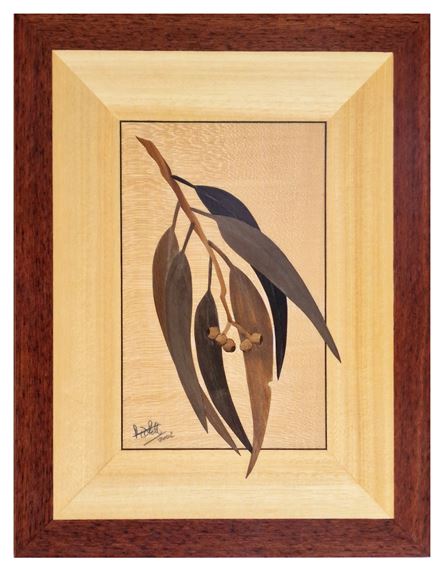 Eucalyptus Gummifera by Michael Retter, 2002