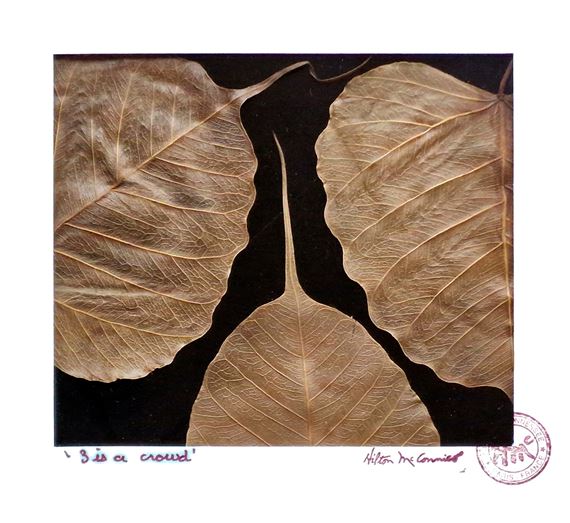 GMHO17○Hilton McConnico ヒルトンマッコニコ デザイナーズ Hilton McConnico | 103 Artworks | MutualArt