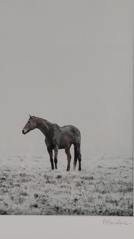 Artwork by Anna Smolens, Anna Smolens 'In The Fog' Horse Photo Print, Made of Black and white with black wooden frame