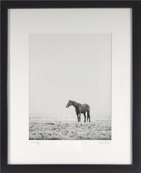 Anna Smolens 'In The Fog' Horse Photo Print